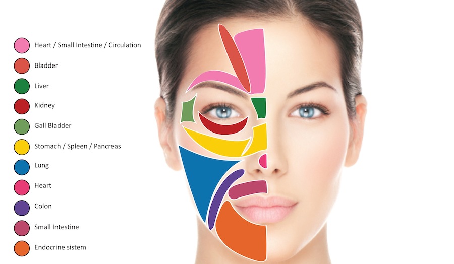 Ad ogni zona del tuo viso corrisponde allo stato di salute di un tuo organo.